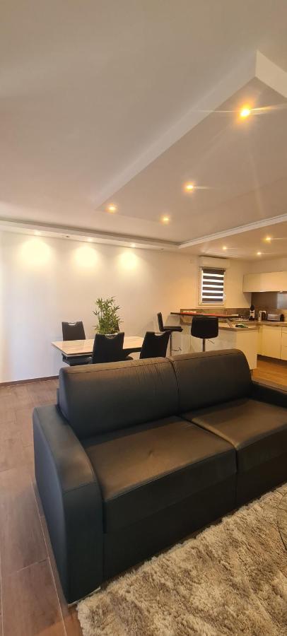 Le Cocon Du Leman Apartment Viry  Exterior foto