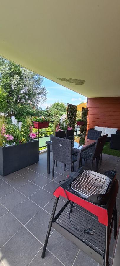 Le Cocon Du Leman Apartment Viry  Exterior foto