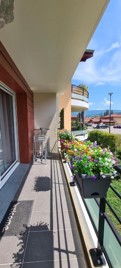 Le Cocon Du Leman Apartment Viry  Exterior foto