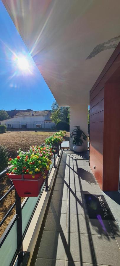 Le Cocon Du Leman Apartment Viry  Exterior foto